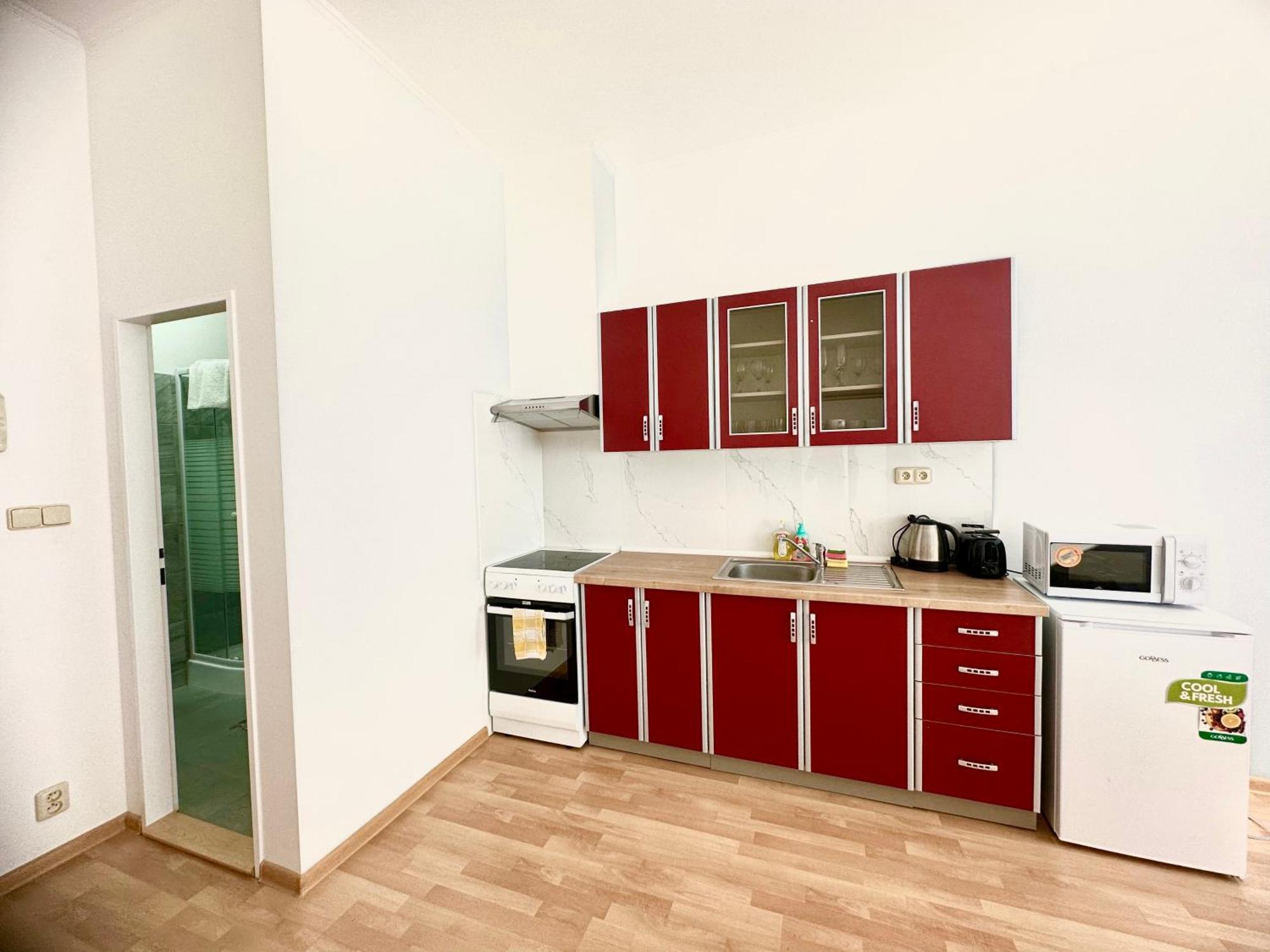 קרלובי וארי Apartment Erika חדר תמונה